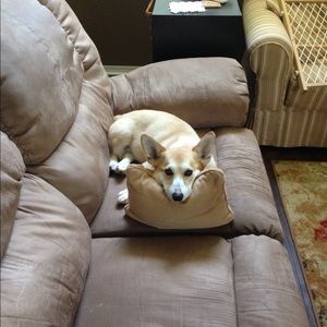 Meet your Posher, Jody